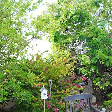 Feriehus Cosy House In With Mountain View