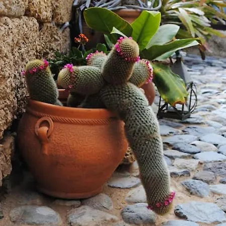 Cosy House In With Mountain View *